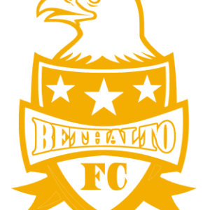 Logo Car Decal